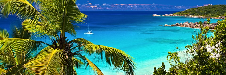The Bahamas